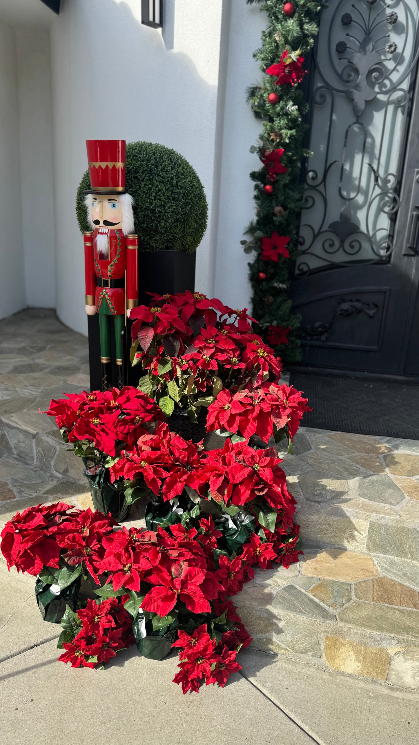 Premier Holiday Install (50% DEPOSIT ONLY)